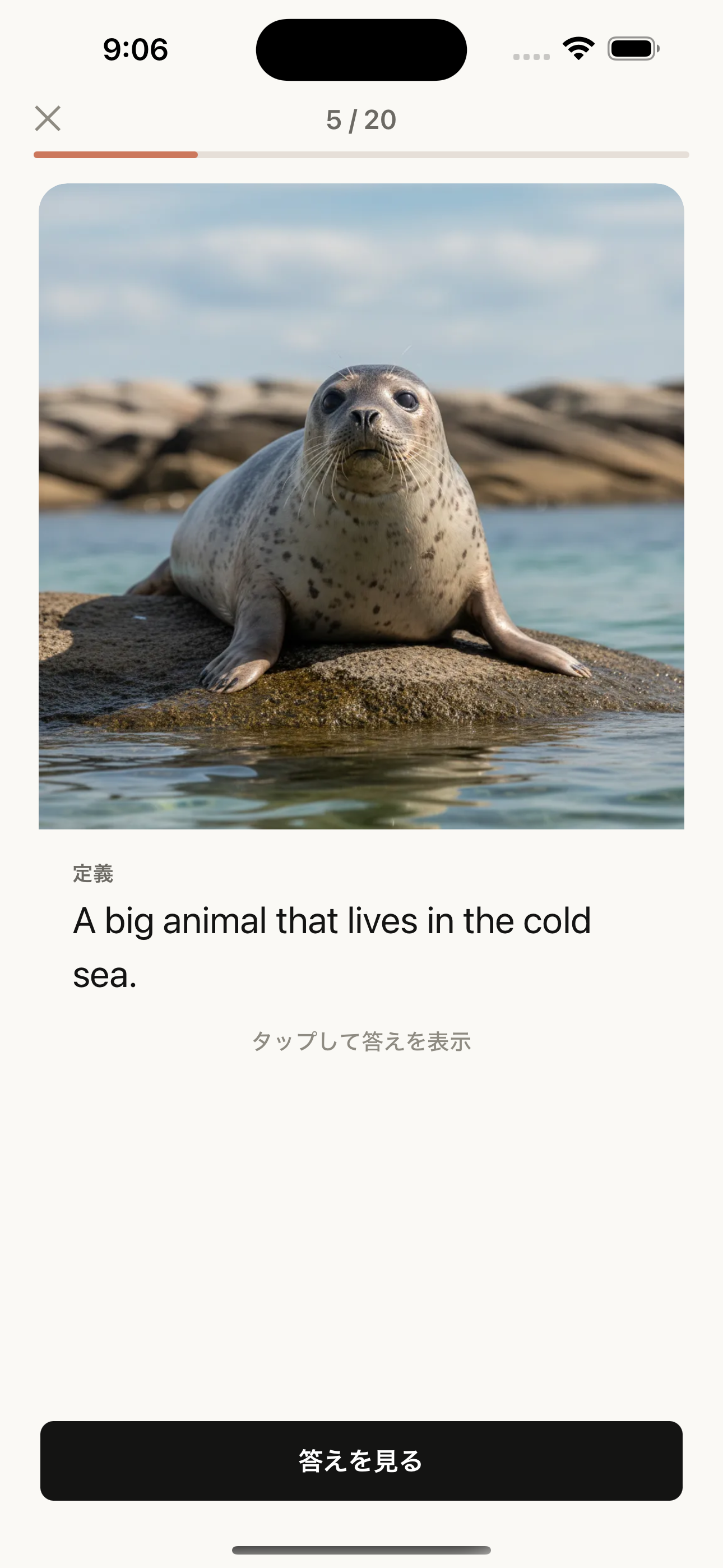 画像と説明だけが見える、答え合わせ前のカード画面