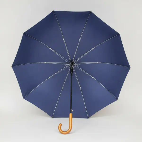 umbrella 이미지
