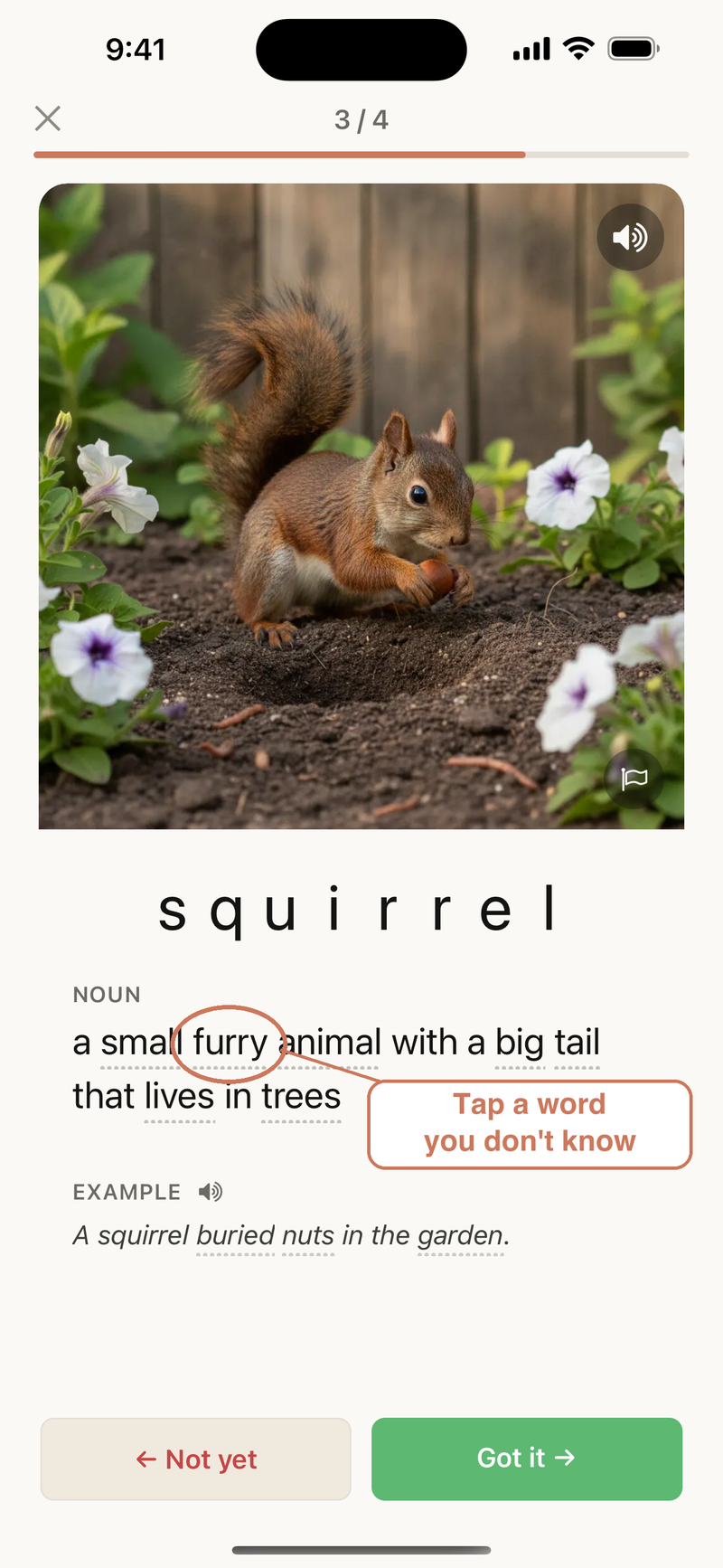 A study card for “squirrel,” with a plain-English definition and example; each word carries a small dot marking it as tappable.