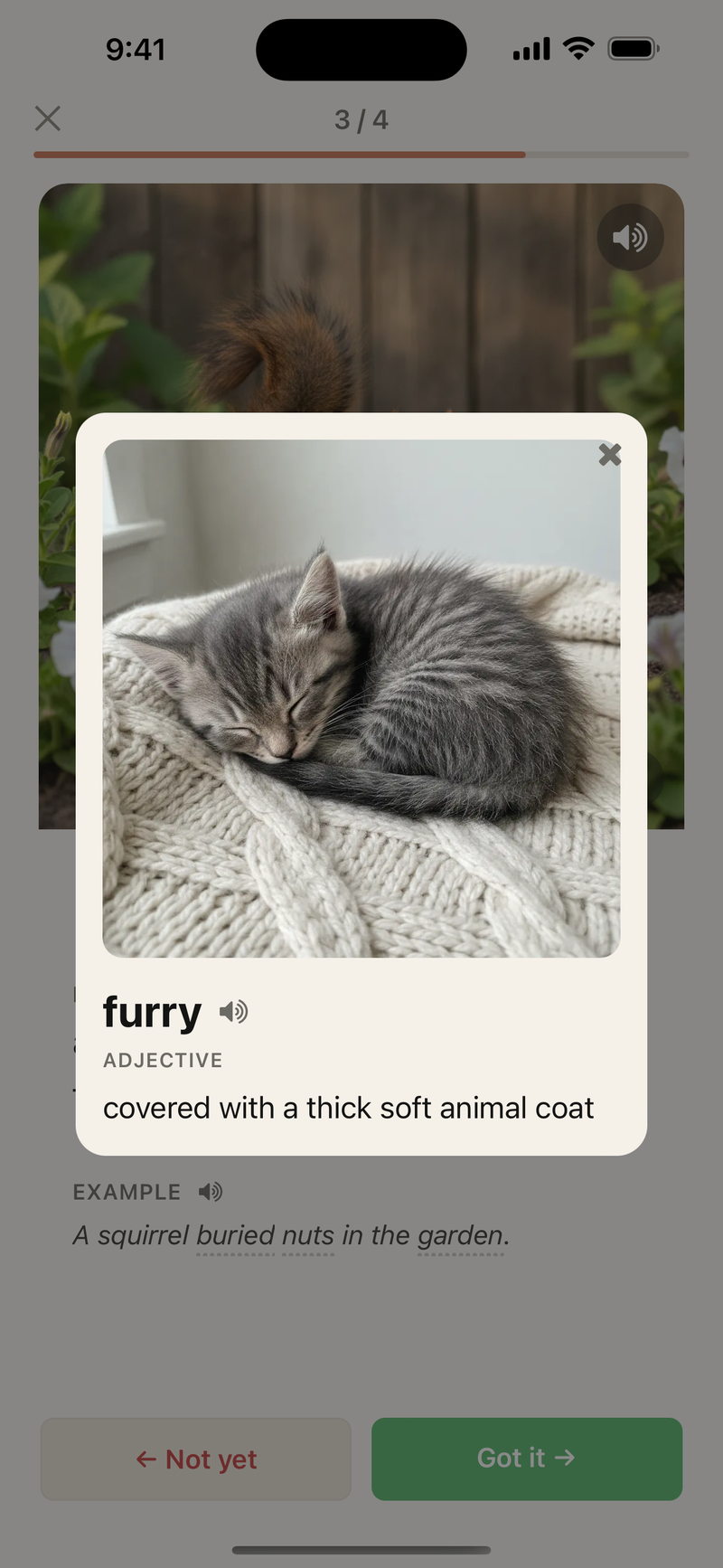 Right after tapping “furry”: a popup opens with an image of a soft-furred animal, the part of speech, and the meaning.