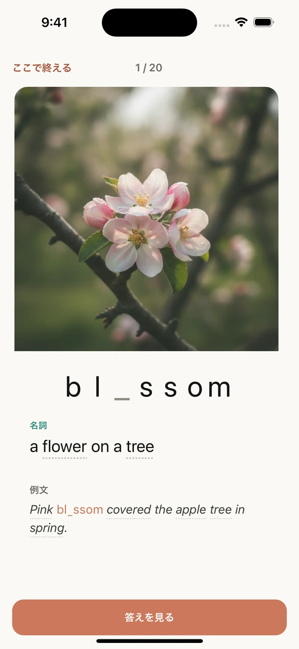 初回のblossom。花の画像と、6文字が見えるスペルヒント。