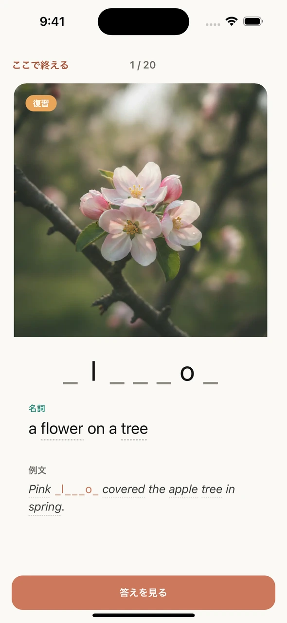 同じblossomの復習。文字ヒントが2文字になった実学習画面。