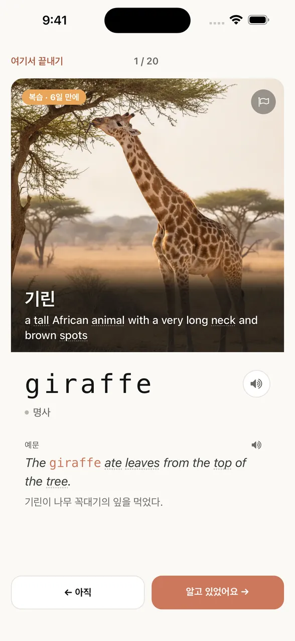 정답을 본 뒤의 앱 화면. 단어는 giraffe(기린). 예문과 한국어 번역도 나와 있어요.