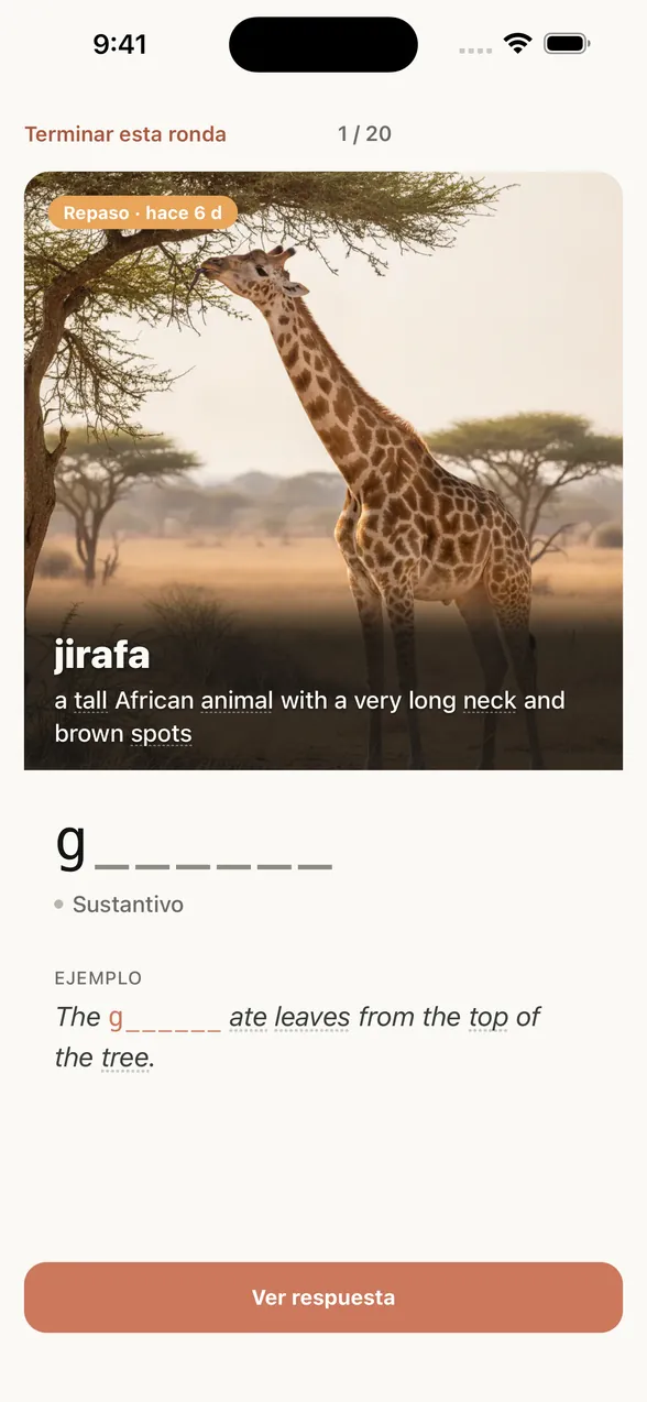 Pantalla de repaso de la app (antes de ver la respuesta): sobre la imagen, el significado en español y la definición en inglés; debajo, una pista que solo muestra la primera letra.