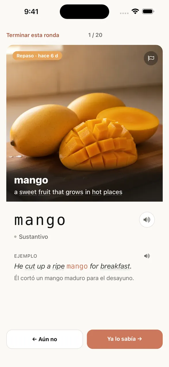 Pantalla de la app después de ver la respuesta: la palabra es mango (mango), con una frase de ejemplo y su traducción al español.