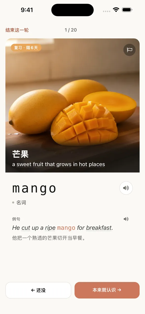 查看答案后的 App 界面。单词是 mango（芒果），还显示了例句和中文译文。