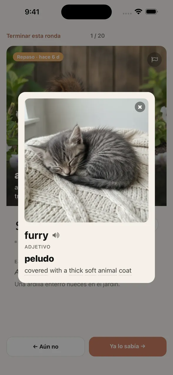 Al tocar furry, sobre la tarjeta de squirrel se abre otra con la imagen de un gatito dormido, la categoría gramatical, el significado en español “peludo” y la definición en inglés “covered with a thick soft animal coat”.