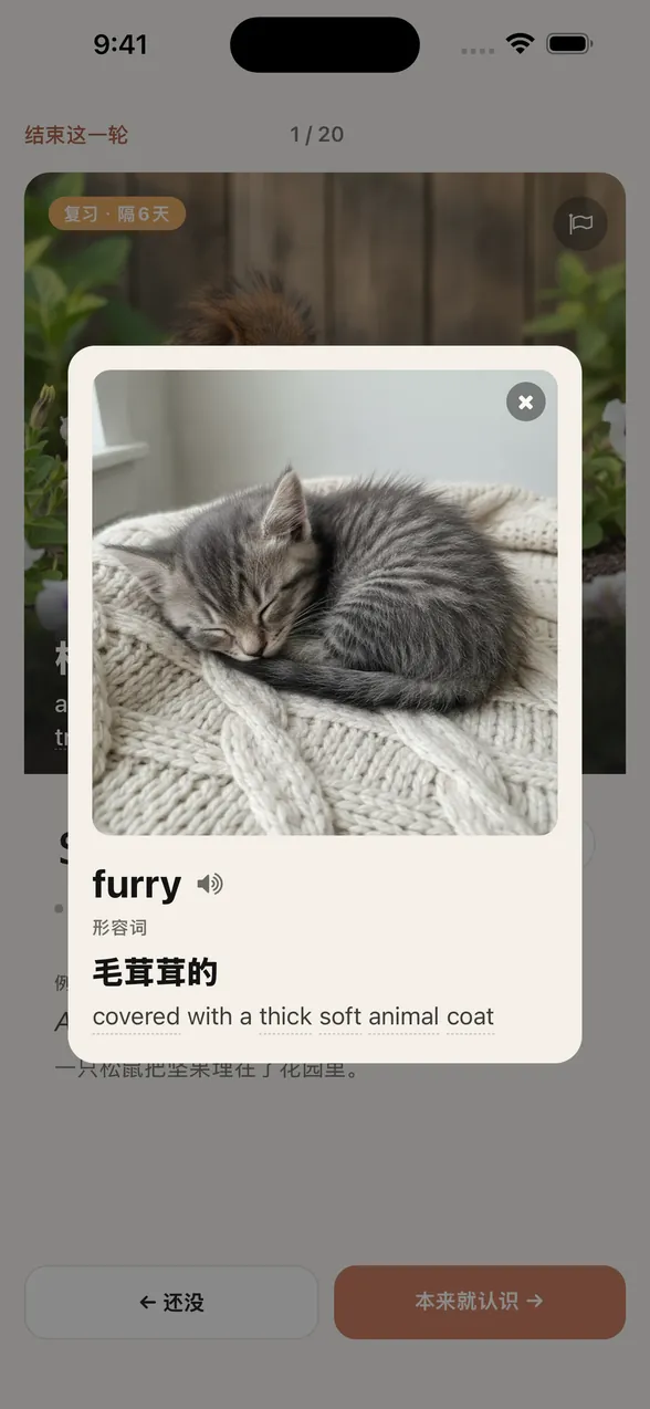 点一下 furry，squirrel 卡片上方会弹出一个窗口，显示熟睡小猫的图片、词性、中文词义“毛茸茸的”和英文释义“covered with a thick soft animal coat”。