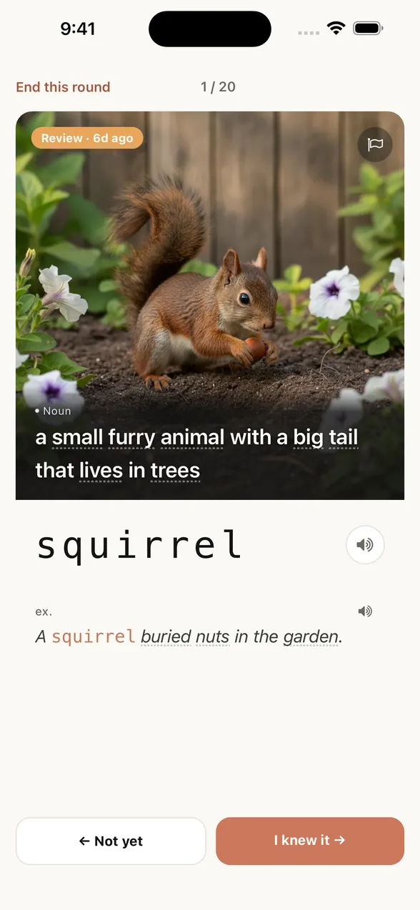 App screen: recalling a word from its image and definition, answer shown: squirrel