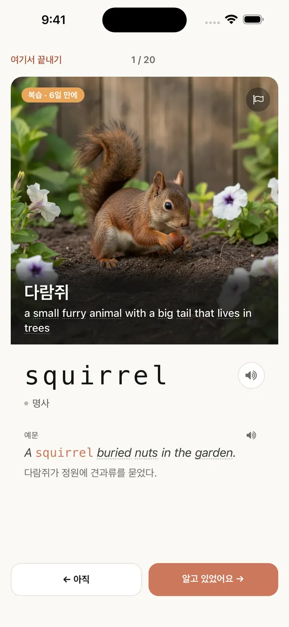 정답을 본 뒤의 같은 화면. 단어는 squirrel(다람쥐). 예문과 한국어 번역도 나와 있어요.