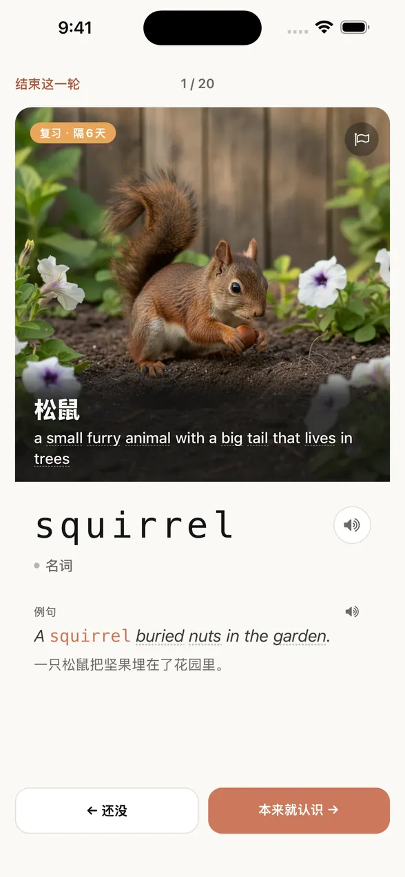 查看答案后的同一界面。单词是 squirrel（松鼠），还显示了例句和中文译文。